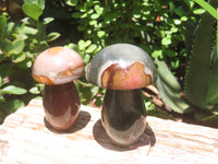 Polished Polychrome Jasper Mushrooms x 6 From Madagascar