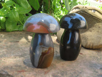 Polished Polychrome Jasper Mushrooms x 6 From Madagascar