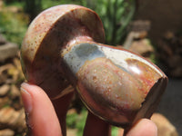 Polished Polychrome Jasper Mushrooms x 6 From Madagascar