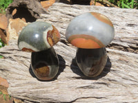 Polished Polychrome Jasper Mushrooms x 6 From Madagascar