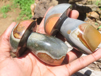 Polished Polychrome Jasper Mushrooms x 6 From Madagascar