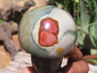 Polished Polychrome Jasper Mushrooms x 6 From Madagascar
