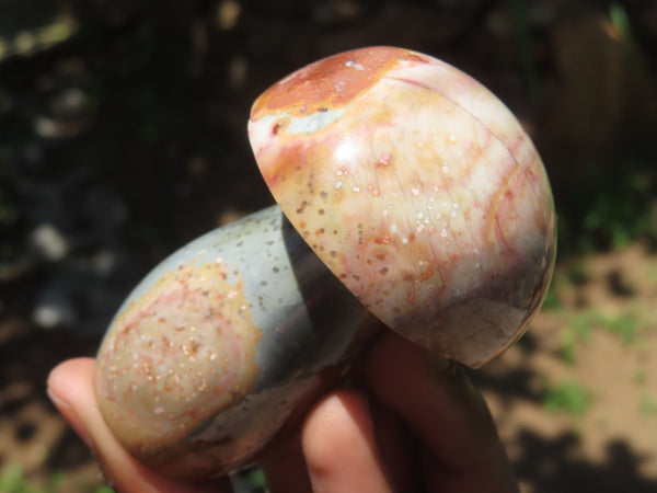 Polished Polychrome Jasper Mushrooms x 6 From Madagascar