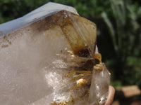 Polished Smokey Window Quartz Crystal x 1 From Madagascar - Toprock Gemstones and Minerals 