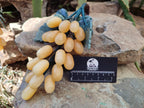Polished Honey Aragonite Hanging Bunch of Grapes with Green Fuchsite Leaves - sold per item - From Namibia - Toprock Gemstones and Minerals 