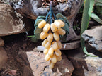 Polished Honey Aragonite Hanging Bunch of Grapes with Green Fuchsite Leaves - sold per item - From Namibia - Toprock Gemstones and Minerals 