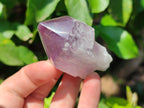 Natural Jacaranda Amethyst Crystals x 12 From Zambia - Toprock Gemstones and Minerals 