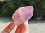 Natural Jacaranda Amethyst Crystals x 12 From Zambia - Toprock Gemstones and Minerals 