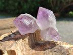 Natural Jacaranda Amethyst Crystals x 12 From Zambia - Toprock Gemstones and Minerals 