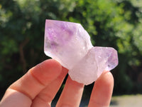 Natural Jacaranda Amethyst Crystals x 12 From Zambia - Toprock Gemstones and Minerals 