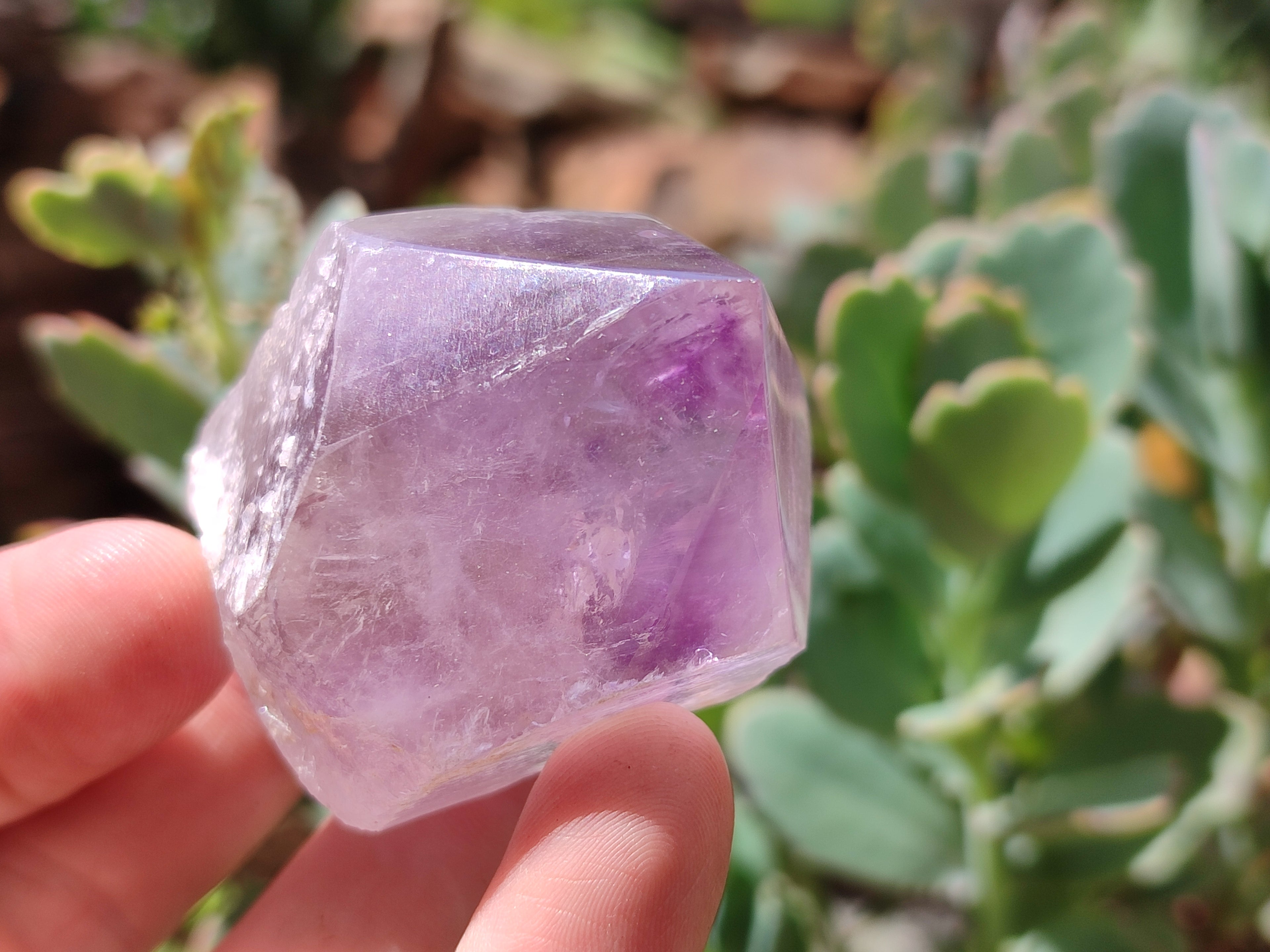 Natural Jacaranda Amethyst Crystals x 12 From Zambia - Toprock Gemstones and Minerals 
