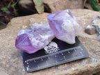 Natural Jacaranda Amethyst Crystals x 12 From Zambia - Toprock Gemstones and Minerals 