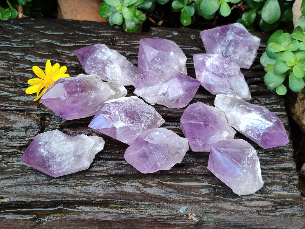Natural Jacaranda Amethyst Crystals x 12 From Zambia - Toprock Gemstones and Minerals 
