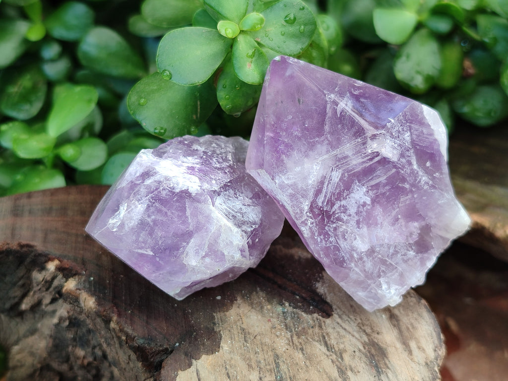 Natural Jacaranda Amethyst Crystals x 12 From Zambia - Toprock Gemstones and Minerals 