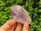 Natural Jacaranda Amethyst Crystals x 12 From Zambia - Toprock Gemstones and Minerals 