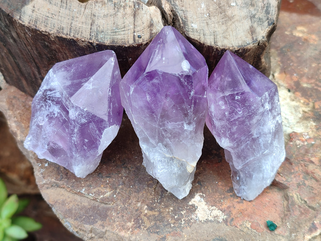 Natural Jacaranda Amethyst Crystals x 12 From Zambia - Toprock Gemstones and Minerals 