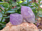 Natural Jacaranda Amethyst Crystals x 12 From Zambia - Toprock Gemstones and Minerals 