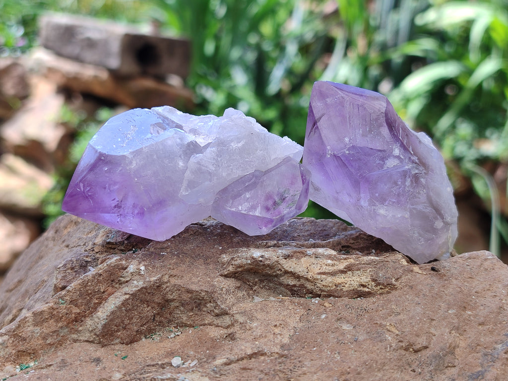 Natural Jacaranda Amethyst Crystals x 12 From Zambia - Toprock Gemstones and Minerals 