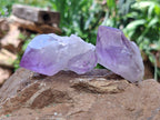 Natural Jacaranda Amethyst Crystals x 12 From Zambia - Toprock Gemstones and Minerals 