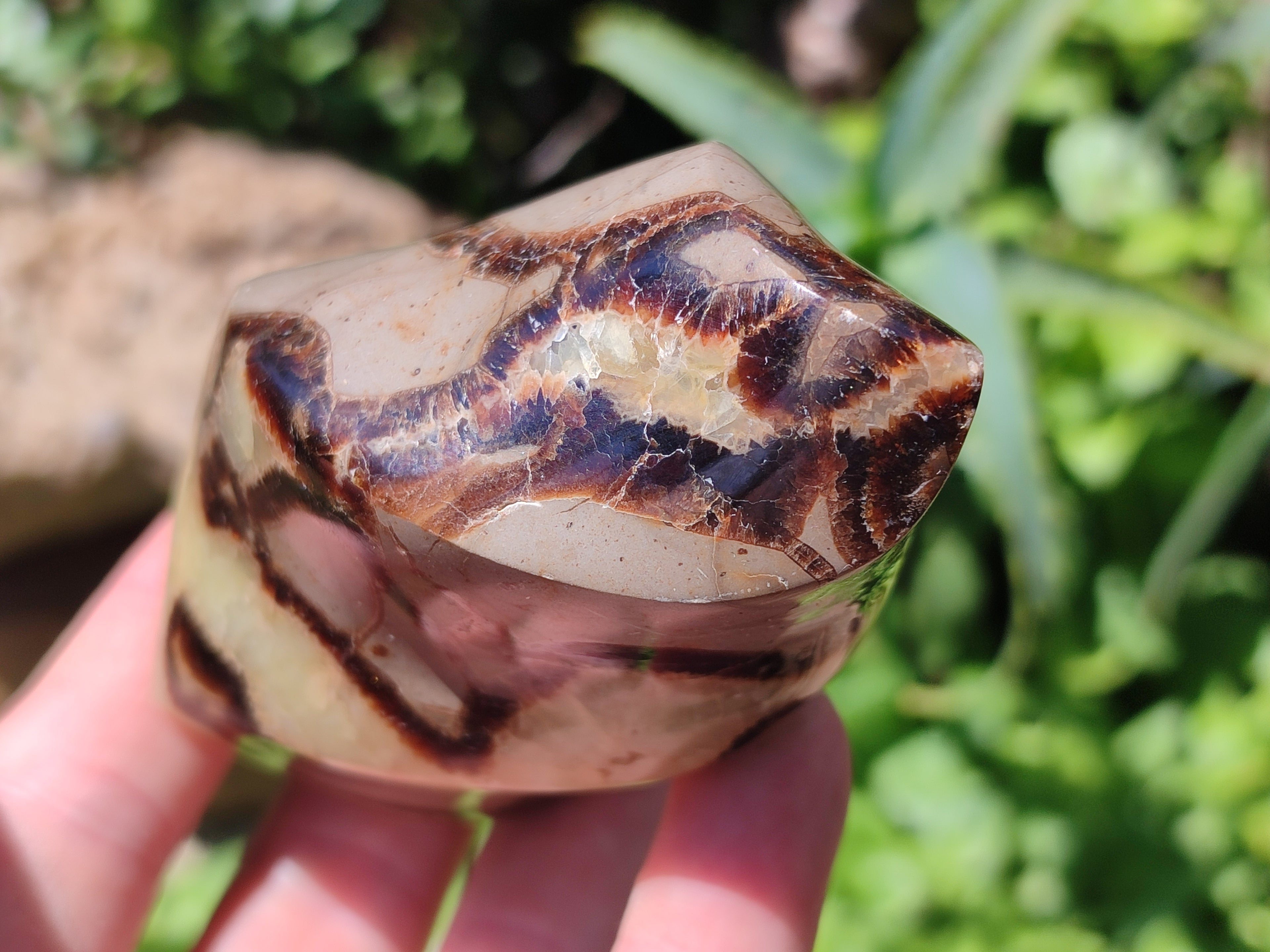 Polished Septerye Flame Sculptures x 6 From Madagascar - Toprock Gemstones and Minerals 