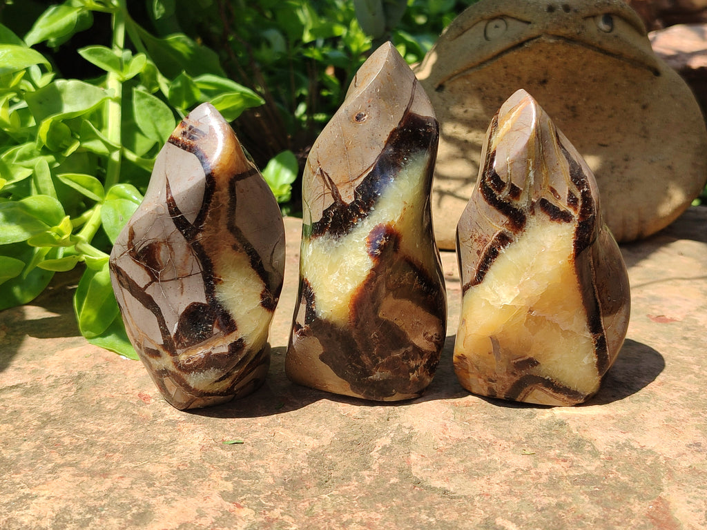 Polished Septerye Flame Sculptures x 6 From Madagascar - Toprock Gemstones and Minerals 
