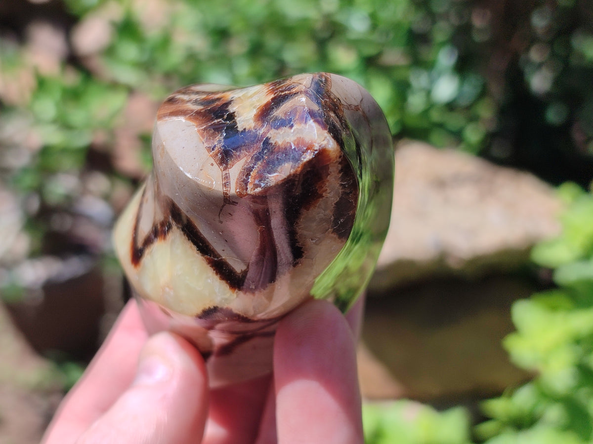 Polished Septerye Flame Sculptures x 6 From Madagascar - Toprock Gemstones and Minerals 