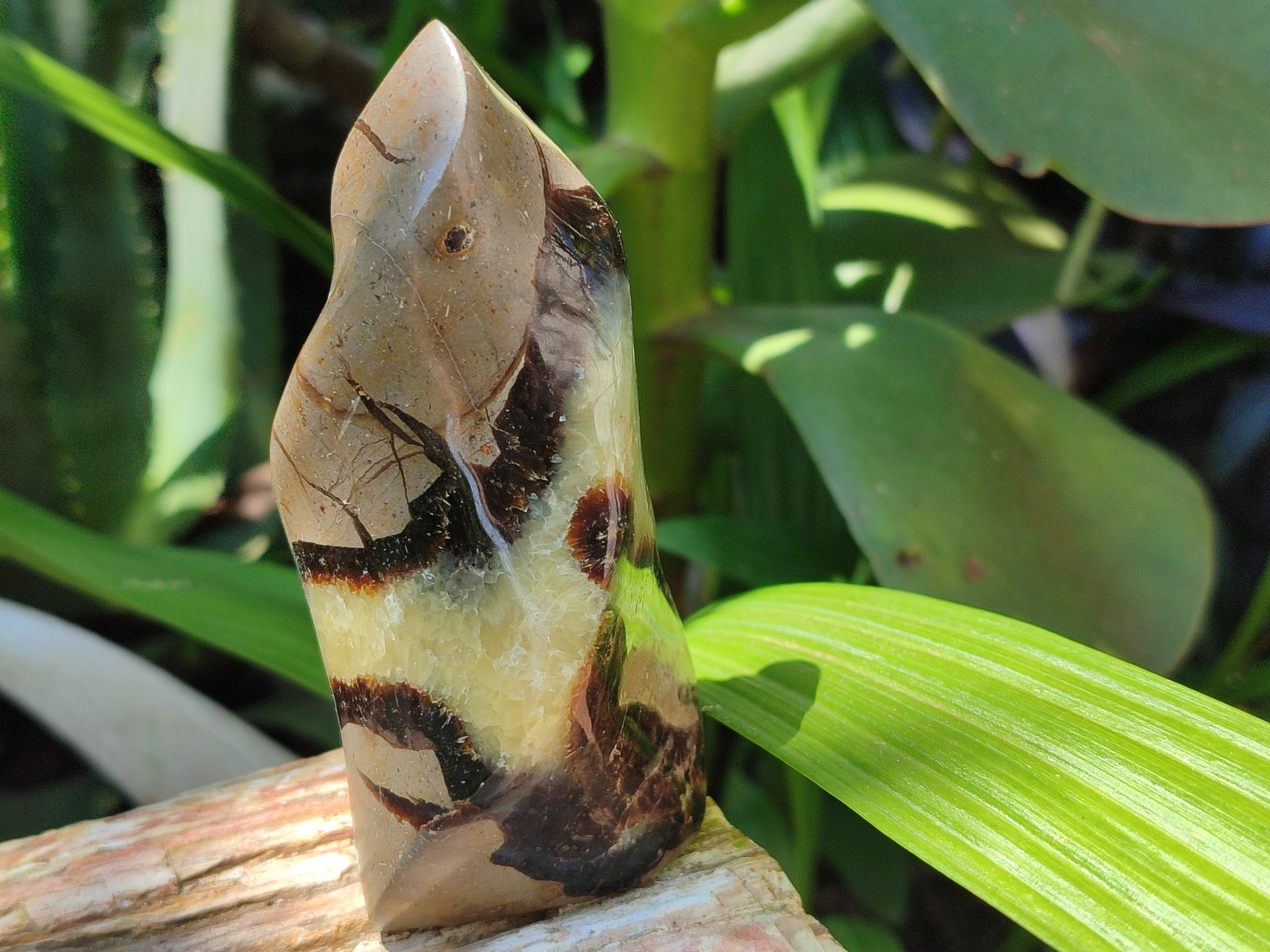 Polished Septerye Flame Sculptures x 6 From Madagascar - Toprock Gemstones and Minerals 