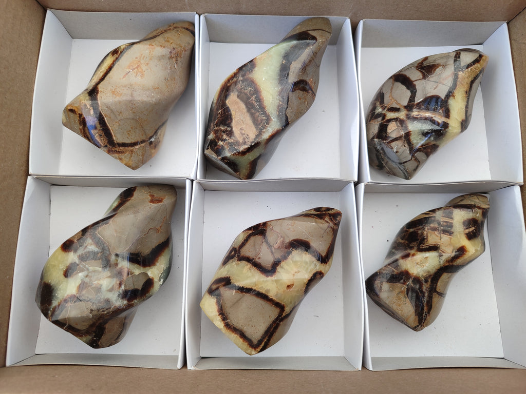 Polished Septerye Flame Sculptures x 6 From Madagascar - Toprock Gemstones and Minerals 