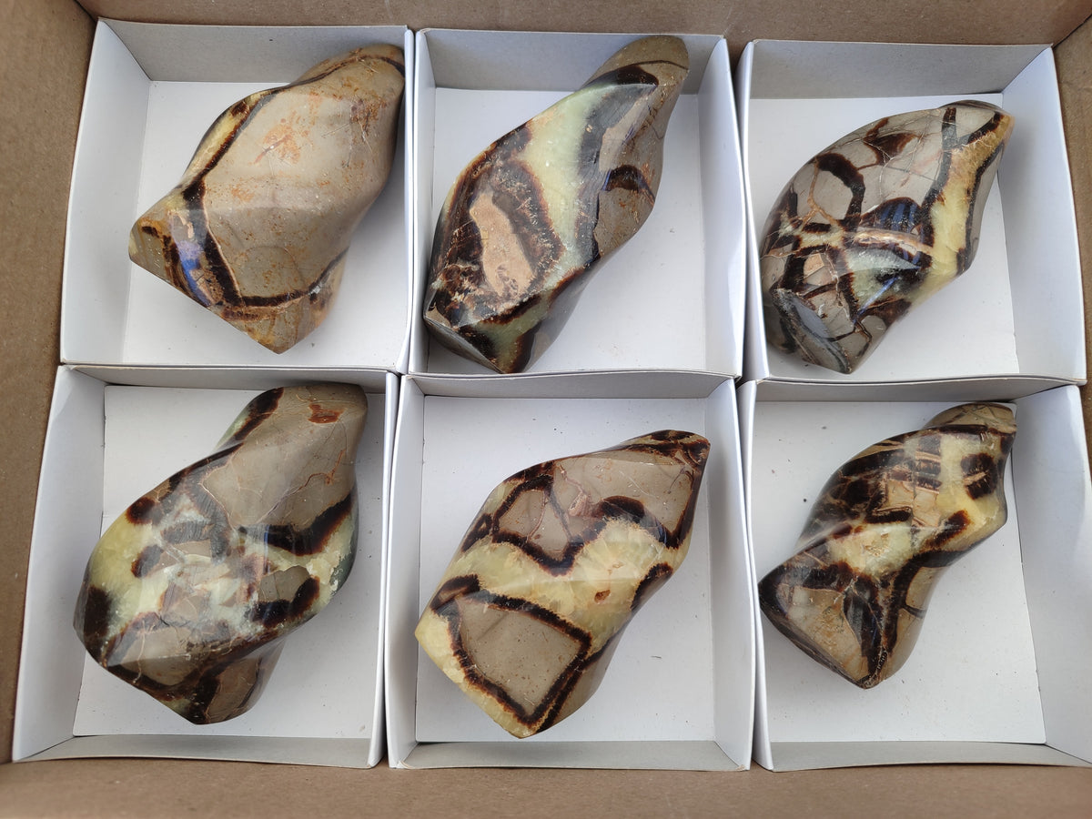 Polished Septerye Flame Sculptures x 6 From Madagascar - Toprock Gemstones and Minerals 