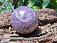 Polished Lepidolite with Pink Rubellite Spheres x 3 From Ambatondrazaka, Madagascar - Toprock Gemstones and Minerals 