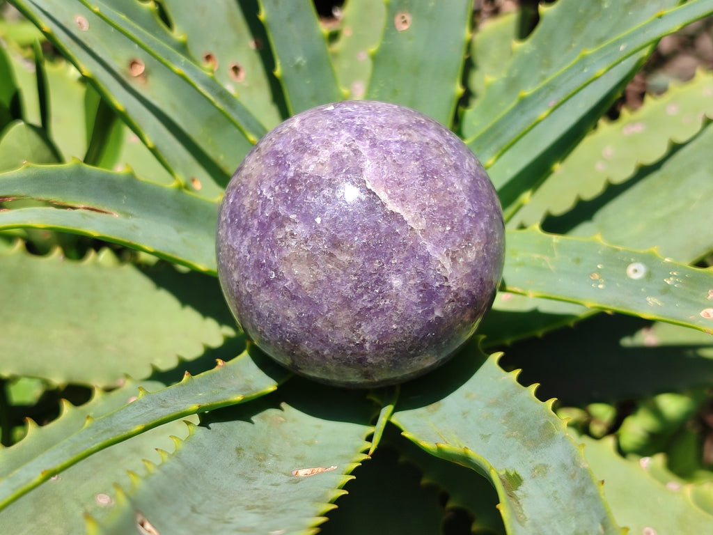 Polished Lepidolite with Pink Rubellite Spheres x 3 From Ambatondrazaka, Madagascar - Toprock Gemstones and Minerals 