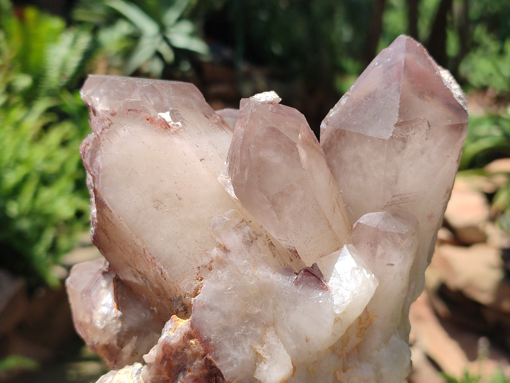 Natural Hematoid Quartz Cluster x 1 From Zimbabwe - Toprock Gemstones and Minerals 