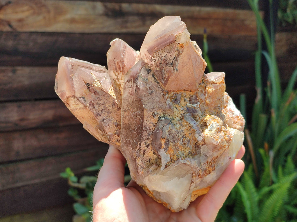 Natural Hematoid Quartz Cluster x 1 From Zimbabwe - Toprock Gemstones and Minerals 