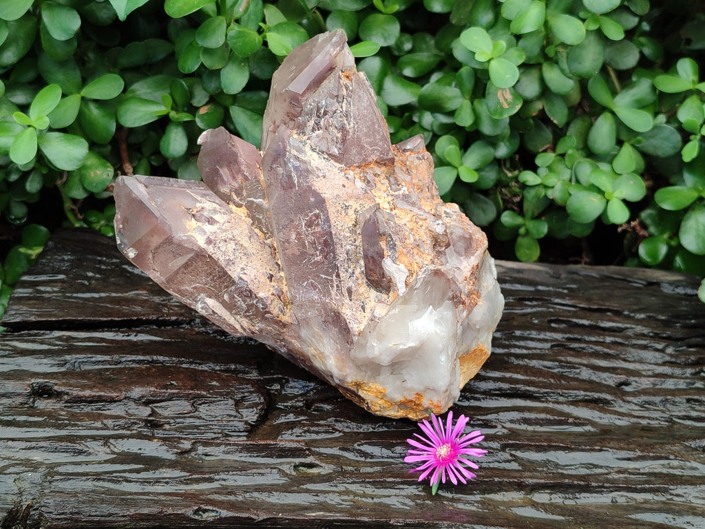 Natural Hematoid Quartz Cluster x 1 From Zimbabwe - Toprock Gemstones and Minerals 
