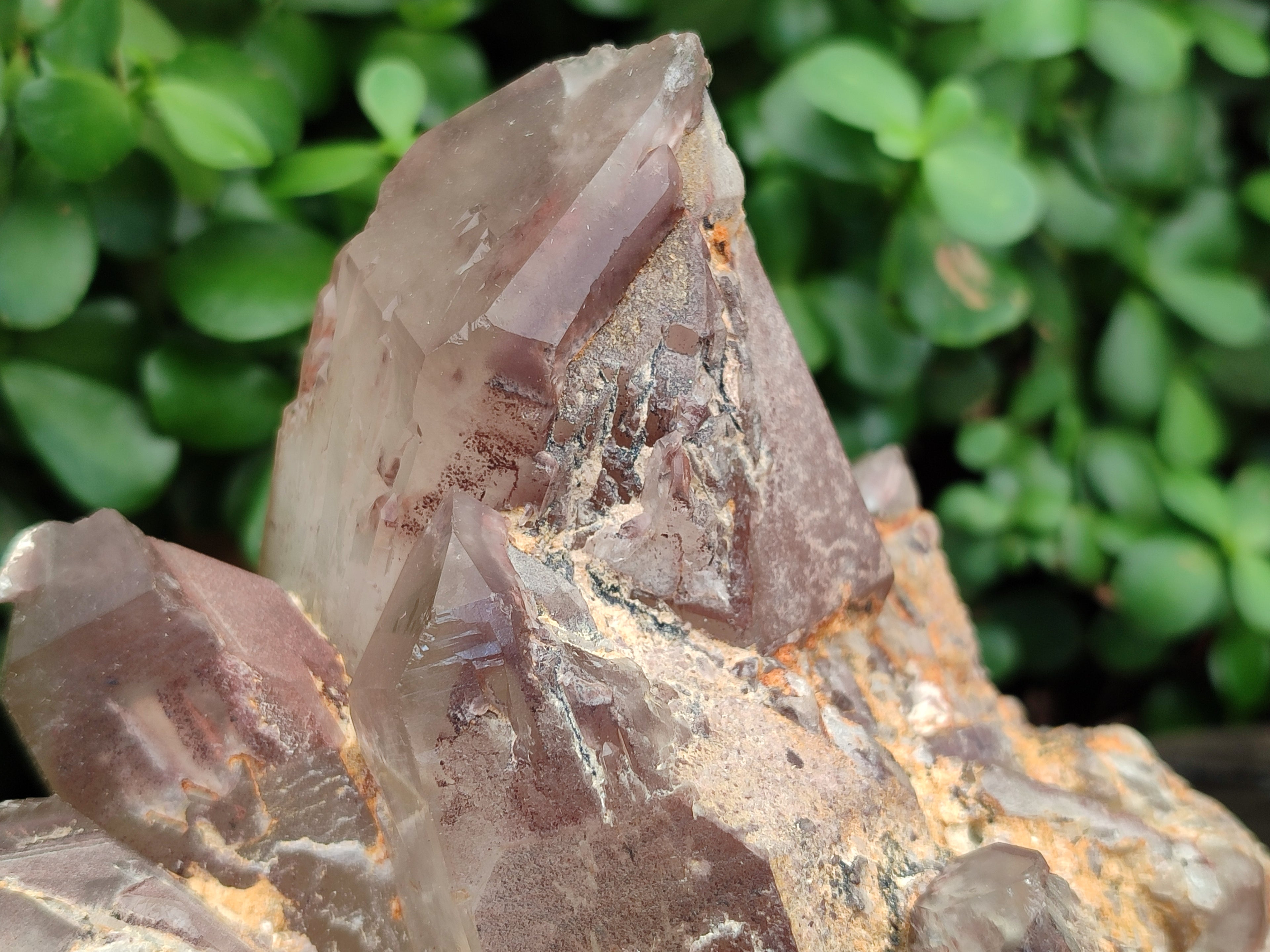 Natural Hematoid Quartz Cluster x 1 From Zimbabwe - Toprock Gemstones and Minerals 