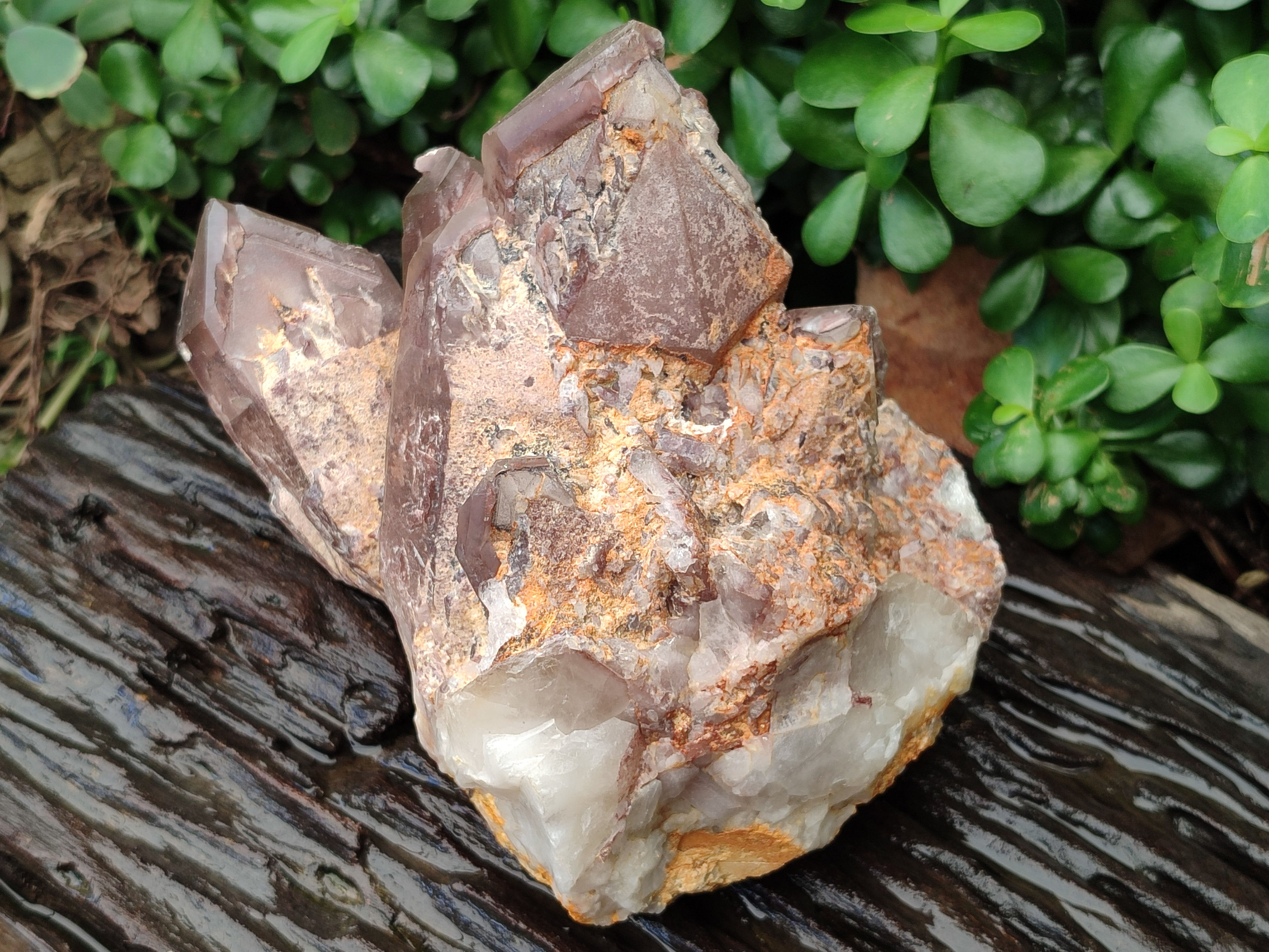 Natural Hematoid Quartz Cluster x 1 From Zimbabwe - Toprock Gemstones and Minerals 