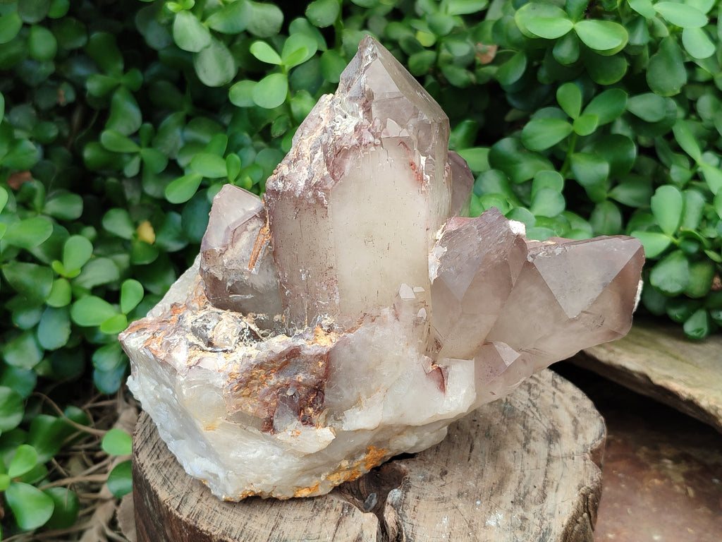 Natural Hematoid Quartz Cluster x 1 From Zimbabwe - Toprock Gemstones and Minerals 