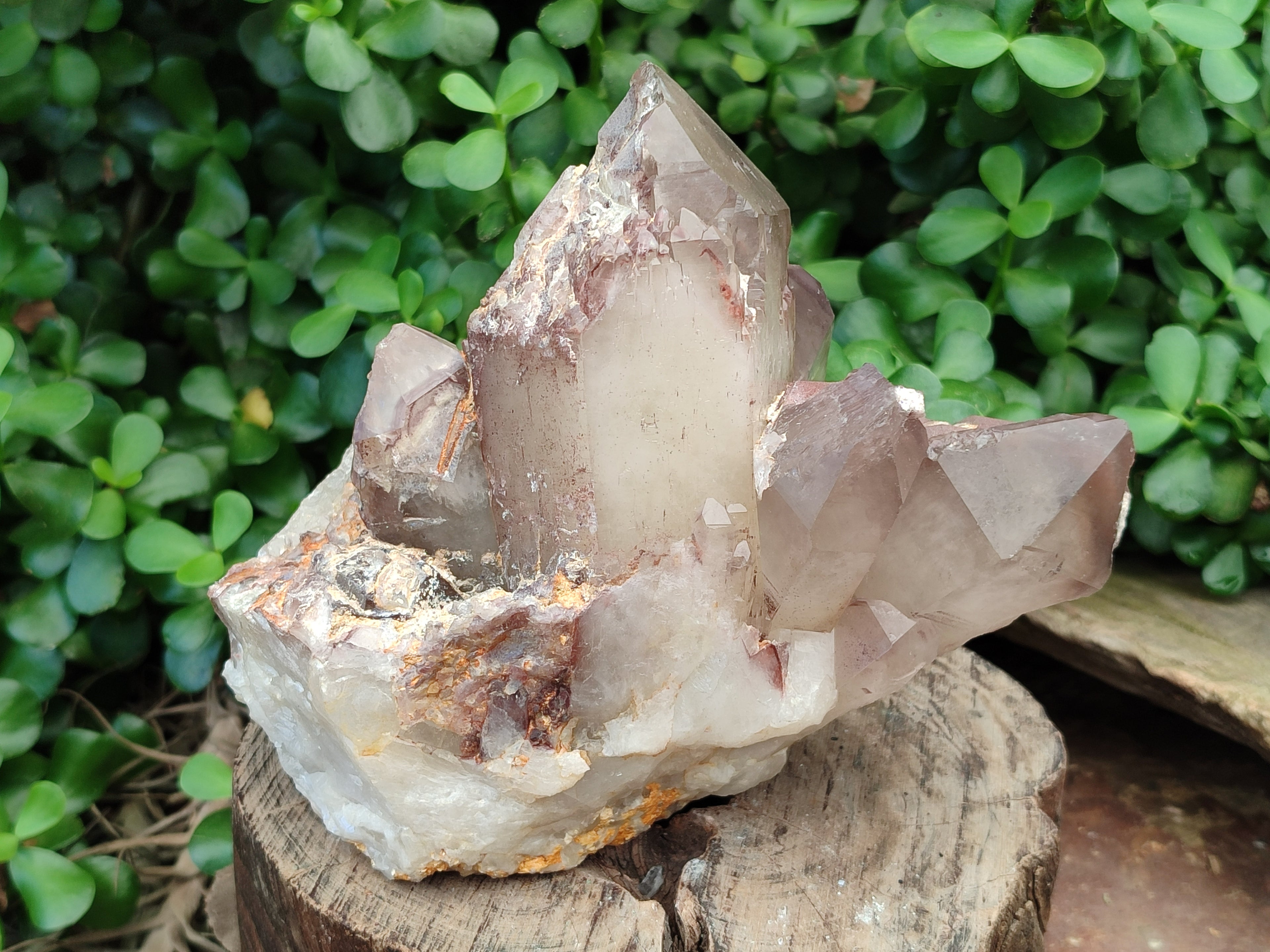 Natural Hematoid Quartz Cluster x 1 From Zimbabwe - Toprock Gemstones and Minerals 