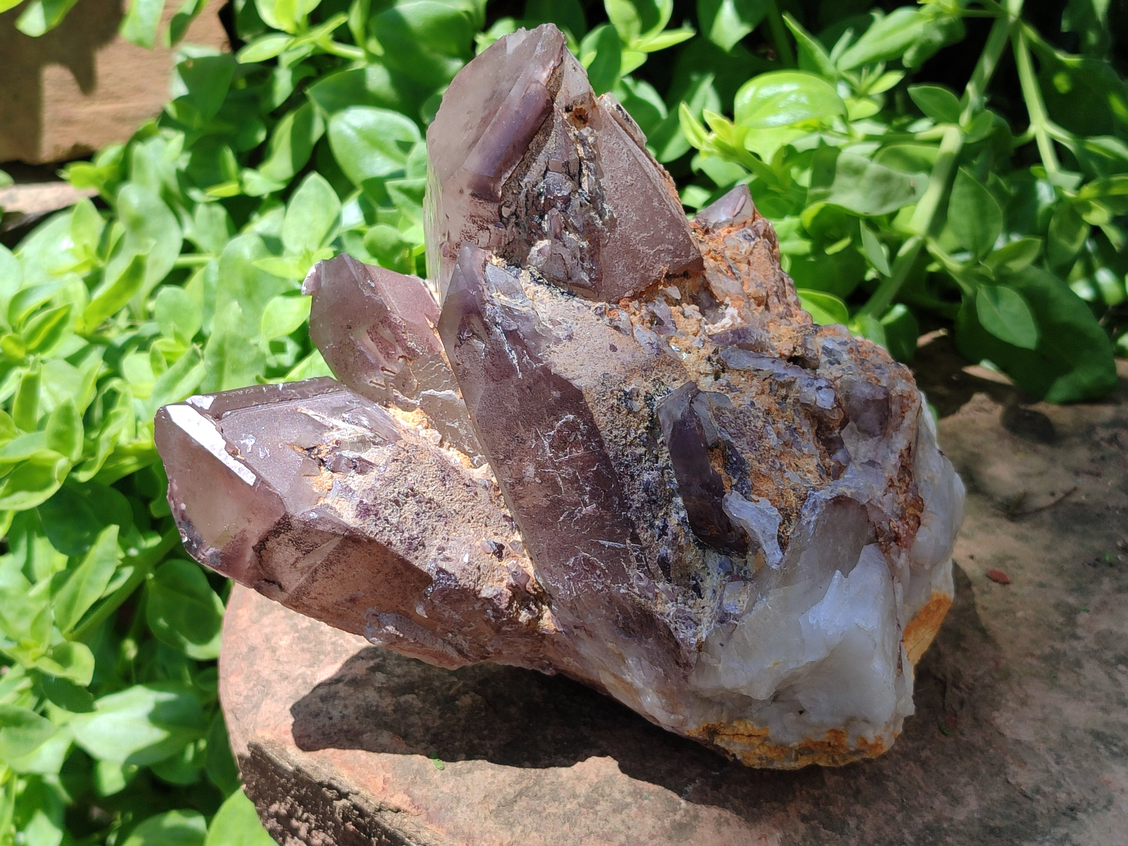 Natural Hematoid Quartz Cluster x 1 From Zimbabwe - Toprock Gemstones and Minerals 