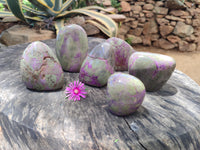 Polished Stichtite Standing Free Forms x 6 From Barberton, South Africa - Toprock Gemstones and Minerals 