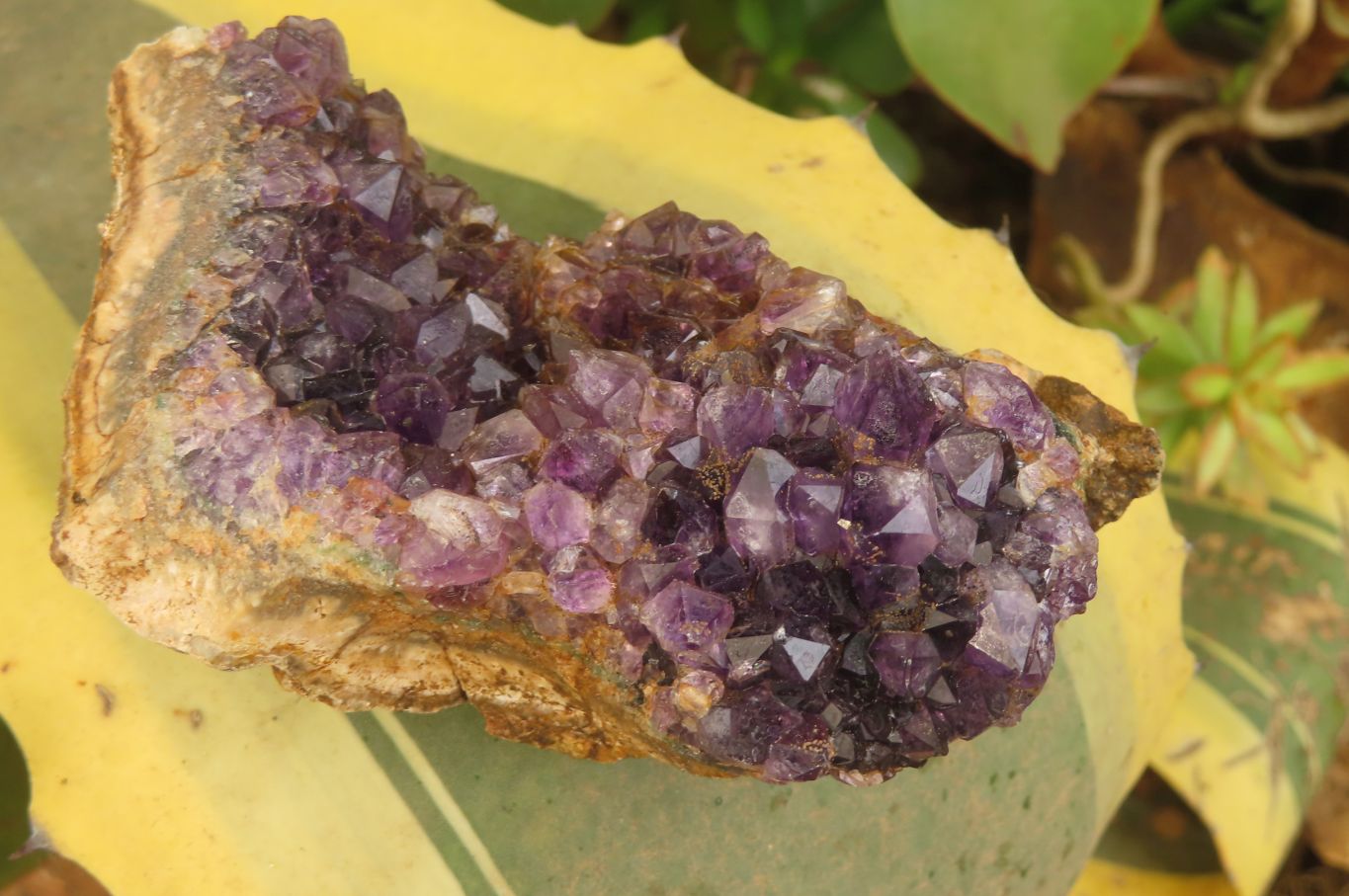 Natural Zululand Amethyst Geodes x 6 from Jozini, South Africa - Toprock Gemstones and Minerals 