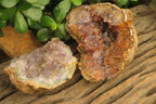 Natural Zululand Amethyst Geodes x 6 from Jozini, South Africa - Toprock Gemstones and Minerals 