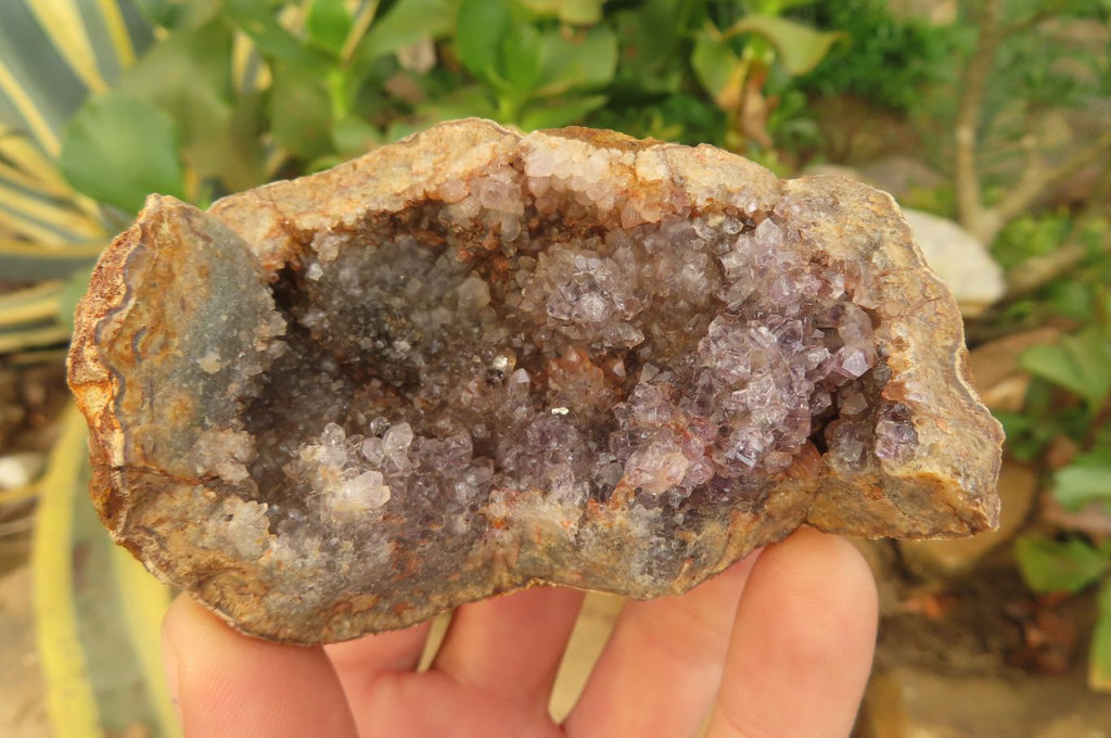Natural Zululand Amethyst Geodes x 6 from Jozini, South Africa - Toprock Gemstones and Minerals 
