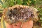 Natural Zululand Amethyst Geodes x 6 from Jozini, South Africa - Toprock Gemstones and Minerals 