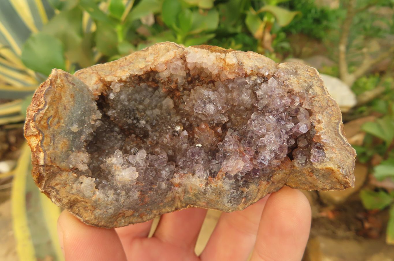 Natural Zululand Amethyst Geodes x 6 from Jozini, South Africa - Toprock Gemstones and Minerals 