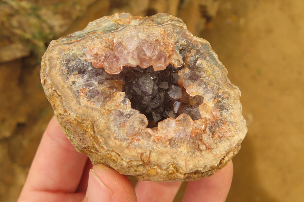 Natural Zululand Amethyst Geodes x 6 from Jozini, South Africa - Toprock Gemstones and Minerals 