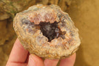 Natural Zululand Amethyst Geodes x 6 from Jozini, South Africa - Toprock Gemstones and Minerals 