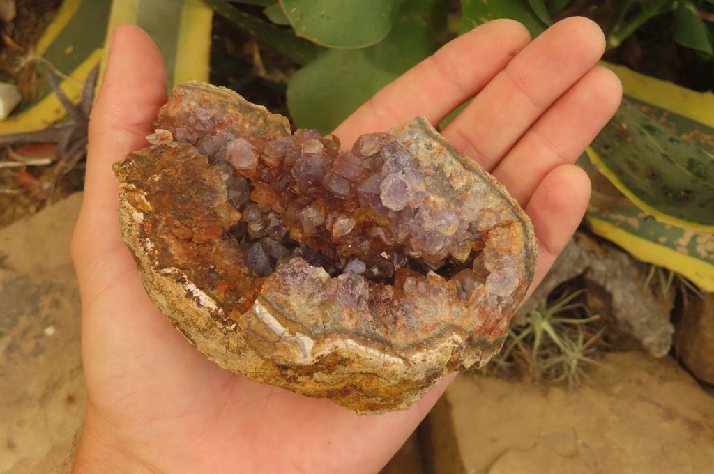 Natural Zululand Amethyst Geodes x 6 from Jozini, South Africa - Toprock Gemstones and Minerals 