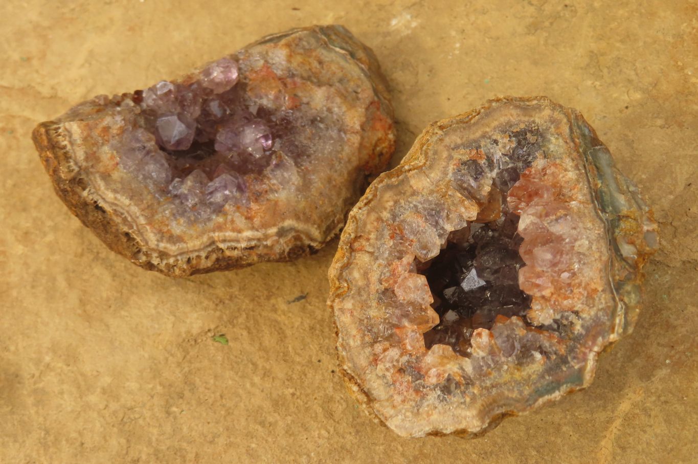 Natural Zululand Amethyst Geodes x 6 from Jozini, South Africa - Toprock Gemstones and Minerals 
