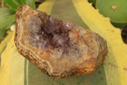 Natural Zululand Amethyst Geodes x 6 from Jozini, South Africa - Toprock Gemstones and Minerals 